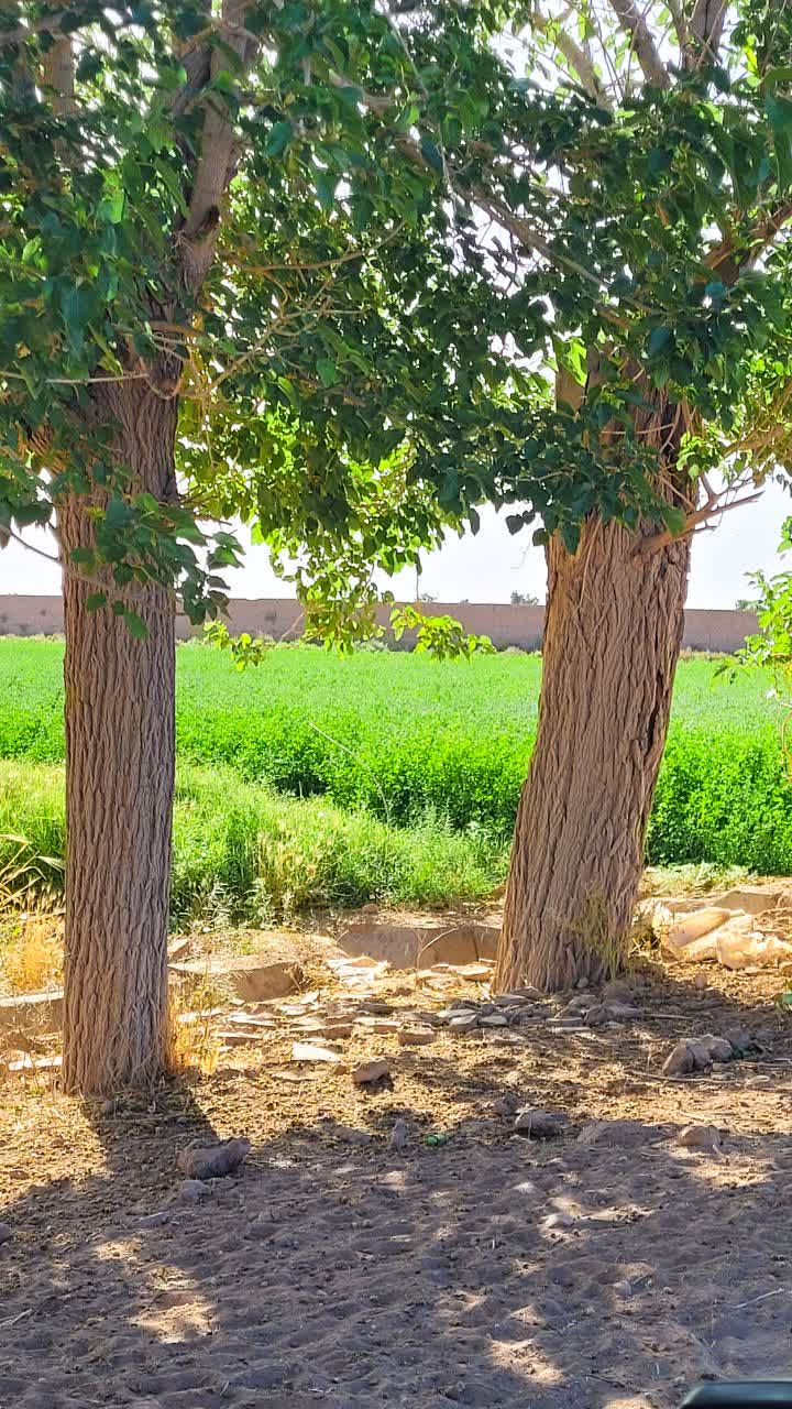 تصویر روستا
