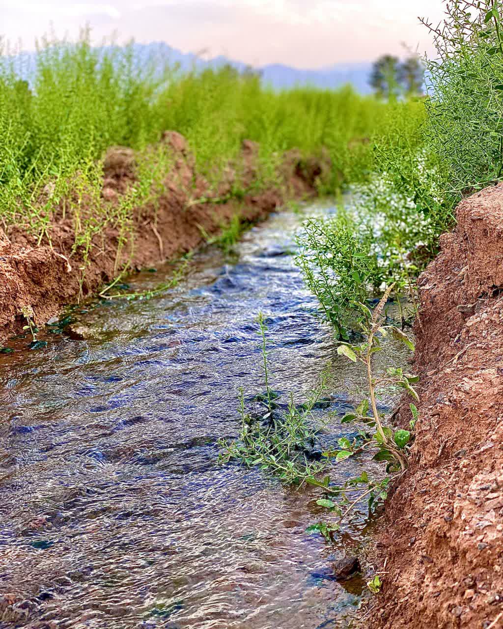 تصویر روستا