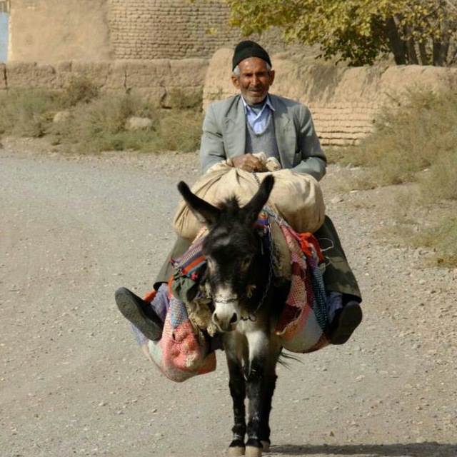 تصویر روستا
