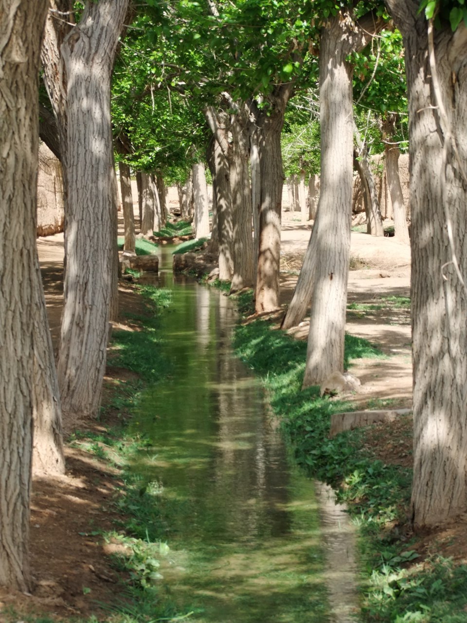 تصویر روستا