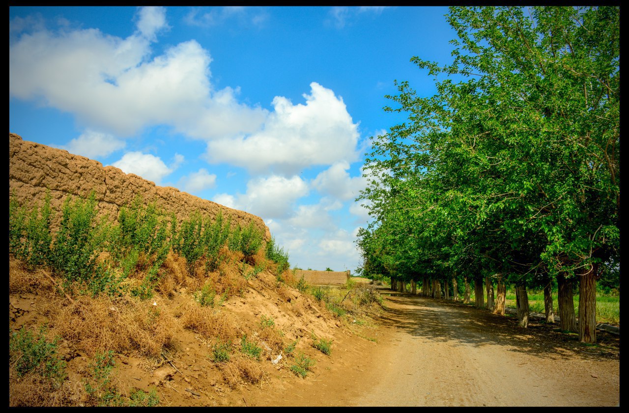 تصویر روستا